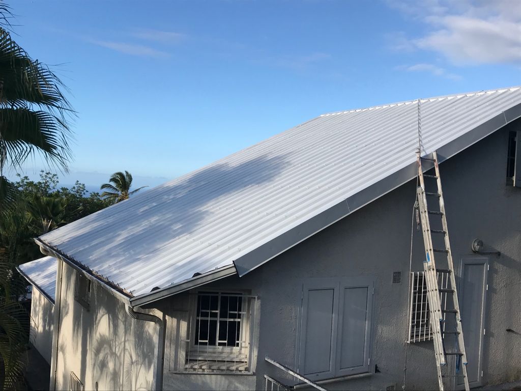 Rénovation et étanchéité toiture