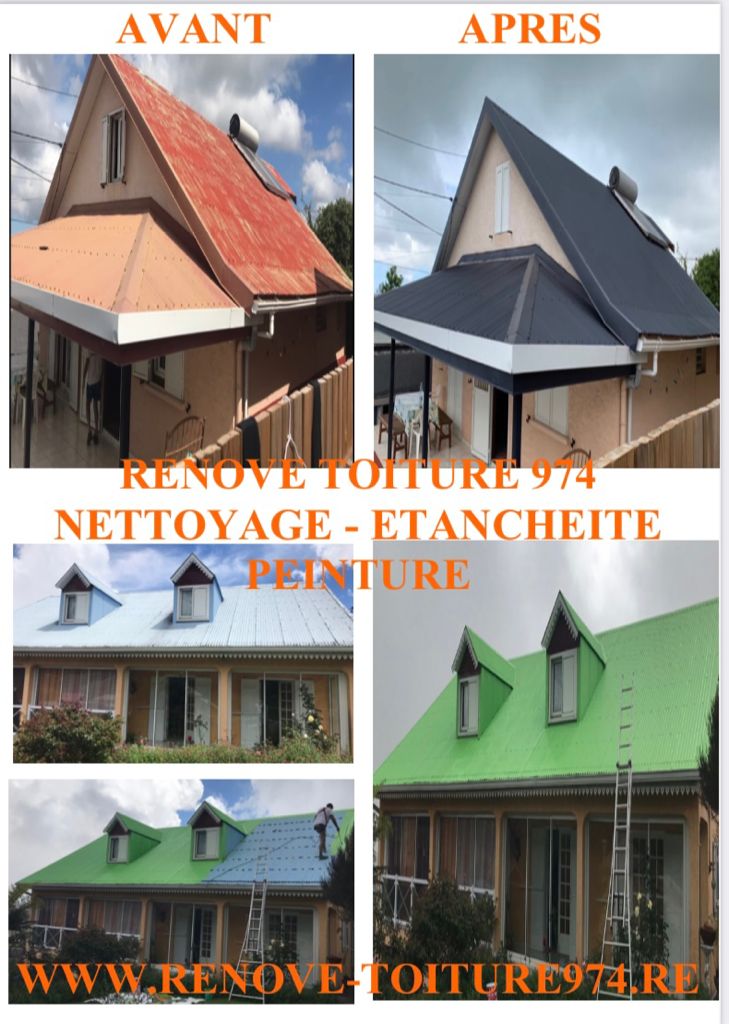 Rénovation et étanchéité toiture